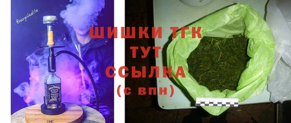 индика Абинск