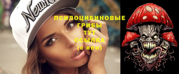 гидра Алексин